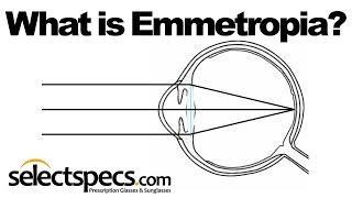 What is Emmetropia  With SelectSpecscom [upl. by Naras]