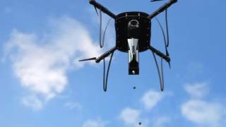 ExNASA engineer to plant one billion trees using drones [upl. by Yeldah202]