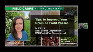 Field Crops Virtual Breakfast Tips to Improve Your Grainee Field Photos [upl. by Raffaj578]