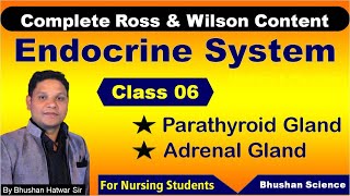 PART 6  Endocrine System  Nursing Online Classes  ROSS amp WILSON Anatomy amp Physiology [upl. by Ettore]