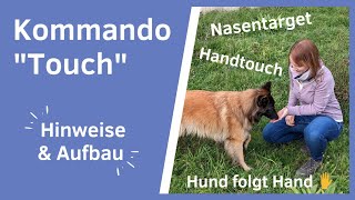 Hund Handtouch beibringen I Hund beibringen der Hand zu folgen I Hund Nasentarget beibringen [upl. by Nnaid181]