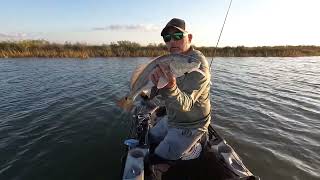 Galveston Tx Chasing Redfish [upl. by Autumn581]