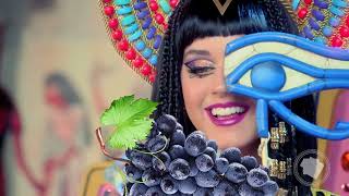 PEDERNEIRAS FEAT KATY PERRY  DARK HORSE [upl. by Aeriell]