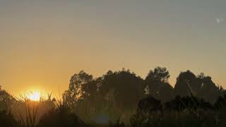 Mawson Lakes Sunrise [upl. by Aciretahs]