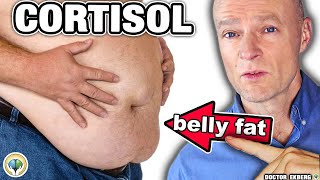 10 Warning Signs Your CORTISOL Is Way Too High [upl. by Adneral859]