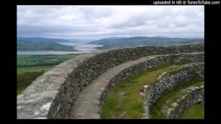 Celtic Harp Orchestra  An Alarch [upl. by Ennoid]