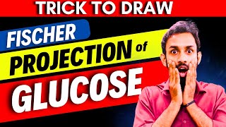 TrickHow to draw Fischer Projection of Glucose  How to draw Structure of Glucose  D amp L Glucose [upl. by Nason755]