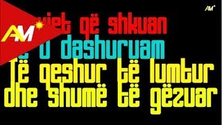 Andi Shkoza  Ti me dashurove Official Lyrics Video [upl. by Ahcirt]