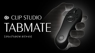 CLIP STUDIO TABMATE ペンタブレットでの作業がより快適にCLIP STUDIO PAINT [upl. by Amhsirak]