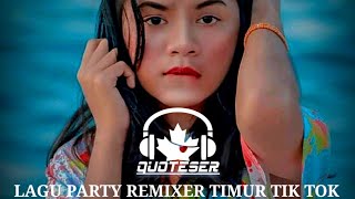 LAGU PARTY REMIXEER TIMUR VIRAL TIK TOK 2020 [upl. by Pope]