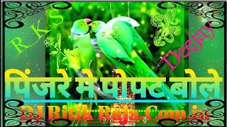 Pinjare Me Popat Bole Remix By DJ Ritik RajaComin [upl. by Erreit]