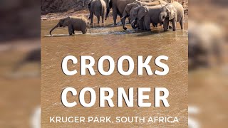 Crooks Corner Limpopo South Africa The Untold Stories [upl. by Zephan]