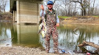 Crappie Fishing From The Bank Catch Clean Cook They Were STACKED [upl. by Agripina]