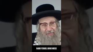 Rabbi Yisroel Dovid Weiss quotAccording to the Torah we are forbidden to return to the Holy Landquot [upl. by Emmery]