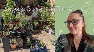 The downsides to an urban homestead  Challenges to homesteading life [upl. by Wylen935]