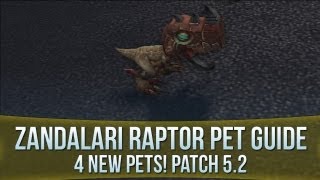 Zandalari Raptor Pets Guide 4 Pets Total  Patch 52 [upl. by Navannod]