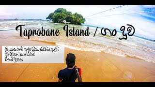 Taprobane Island 🌴 ගං දූව 👣 Weligama Bay Sri Lanka 🇱🇰🌱 🏍📸 [upl. by Tybi]