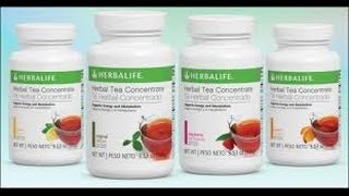 Herbalife Review  Herbalife Hebal Tea Concentrate  whats in it [upl. by Leuas451]