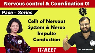 Nervous Control amp Coordination 01  Cells of Nervous System amp NerveI Impulse Conduction  11  NEET [upl. by Haeckel]