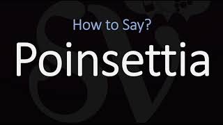 How to Pronounce Poinsettia CORRECTLY [upl. by Cam]