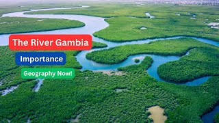 The River Gambia Importance Geography Now [upl. by Anihtyc]