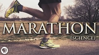 The Science of Marathon Running [upl. by Norad]