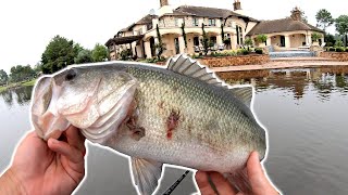 Bass Fishing by 10 MILLION Mansions KICKED OUT [upl. by Clotilda]