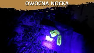 Owocna nocka  poszukiwania bursztynu  poławianie bursztynu  poławiacze bursztynu [upl. by Alfi15]