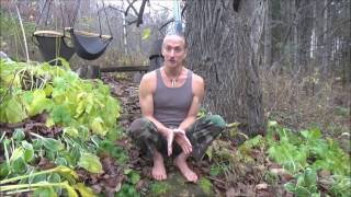 The lifechanging GLOW meditation [upl. by Conover]