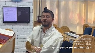 3MN DE TORAH POUR COMMENCER LA JOURNÉE  LE POISSON QUI A PERDU SES ÉCAILLES 🐟 [upl. by Ieluuk427]