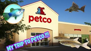 My Trip To Petco Plus Buying new fish for Community Tank [upl. by Ken39]