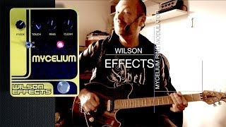 Wilson Effects MYCELIUM Ring Modulator  partDemo [upl. by Johannes]