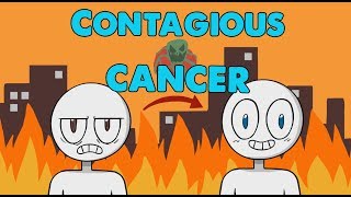 Can Cancer Be Contagious [upl. by Murat]