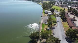 barmera lake bonney south australia [upl. by Aicenav]