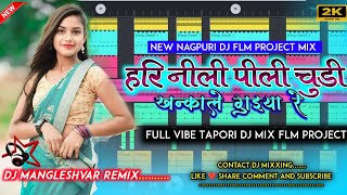 Hari Nili Pili Chudi Khankale Nagpuri Dj Tapori x dance Mix flm nagpuriflmproject nagpuri djvkr [upl. by Concordia]