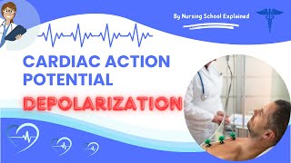 Cardiac Action Potential Depolarization shorts [upl. by Pasadis]