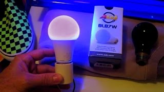 LED Blacklight Bulb REVIEW 7watt ADJ BLB7W Black Light ultraviolet UV [upl. by Wileen178]