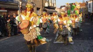 Carnaval Aalst 2015  De Sjattrellen [upl. by Selegna657]