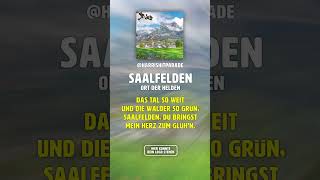 Der SAALFELDEN Song  saalfelden heimatmusik rock [upl. by Nesiaj971]