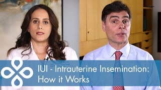 IUI  Intrauterine Insemination How it Works [upl. by Tiossem]