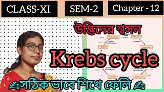 CLASS  11💥 SEM2✍️ Chapter12📚 Krebs cycle🌳🚀 in bangla 💯 [upl. by Oremodlab]