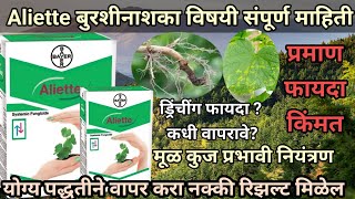 Bayer aliette fungicide Aliette fungicide Aliette विषयी माहिती bayerAapliShetiAaplshivarD [upl. by Dixie]