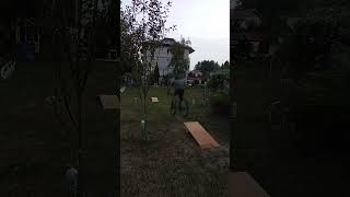 BACKYARD JUMPS mtb dirtjump downhill [upl. by Kimber]