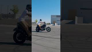 Wheelie Wednesday harley wheelie harleywheelies harleydavidson [upl. by Trescott]