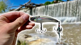 These FISH Couldn’t Resist This Bait At GIANT Waterfall DAM [upl. by Amled93]