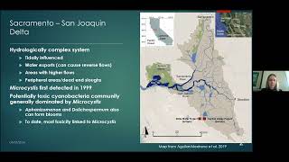 Algal Bloom Action Team Webinar Understanding Microcystis Dynamics from Dry to Wet Years [upl. by Rhody]