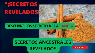 LOS SECRETOS DE LA CANELA [upl. by Felisha]