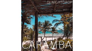 DJ Nightdrop  Caramba Official Audio [upl. by Akkahs]