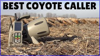 best coyote caller in 2024  Top 5 Coyote Calls for Hunting [upl. by Kado]