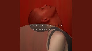 Black Spider Origami Remix [upl. by Aryam613]